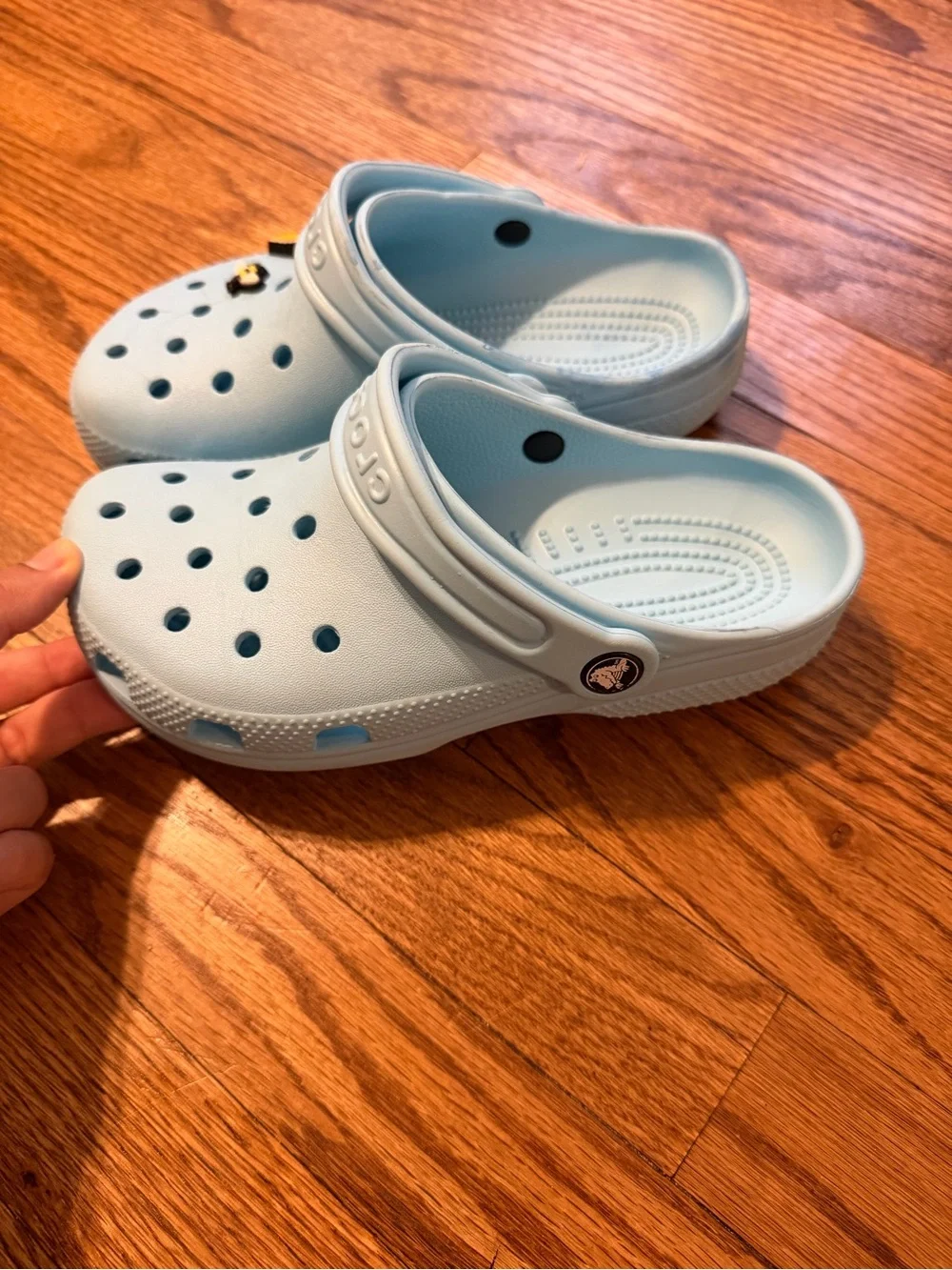 CROCS Kids Light Blue Classic Clogs with Bee Charm